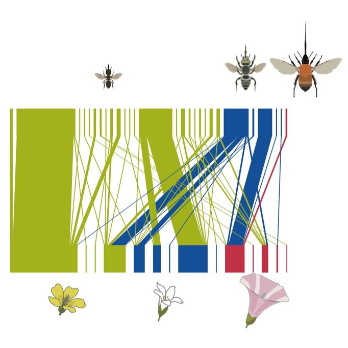 Pollination network